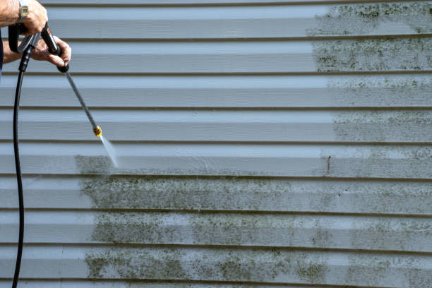 Best Carpet Removal and Disposal  in Litchfield, MN